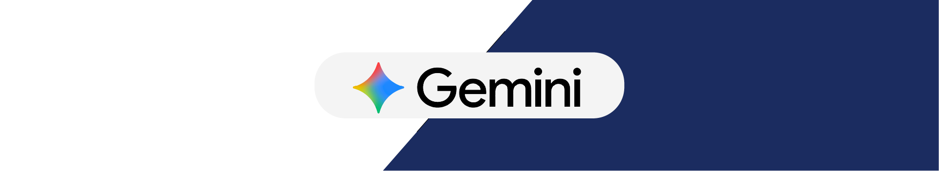 Topo_Google_Gemini.png